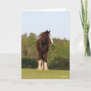 Search for shire cards Horse