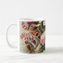 Search for haeckel mugs Kunstformen der natur