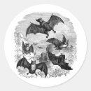 Search for cat sketch stickers Halloween
