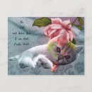 Search for comfortable postcards Cat