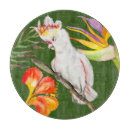 Search for parrot cookware Watercolor