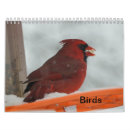 Search for bluebird office supplies Birds