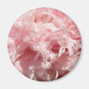 Search for pale pink magnets Pretty