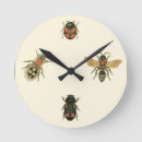 Search for studio clocks Insects