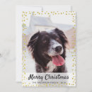 Search for flake christmas cards Modern