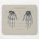 Search for human bones Anatomy