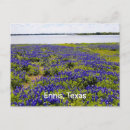 Search for prairie postcards Texas