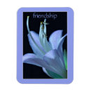 Search for flower magnets Purple