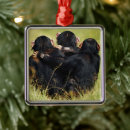 Search for love hugs christmas tree decorations Hugging
