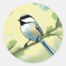 Search for cute chickadee stickers Nature