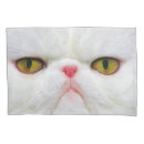 Search for pets pillowcases Kitty