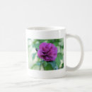 Search for rose of sharon mugs Photography