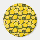 Search for fun magnets Lemon