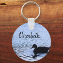 Search for rippled key rings Water