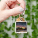Search for aurora key rings Snow