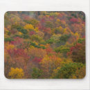 Search for chuck mousepads Autumn