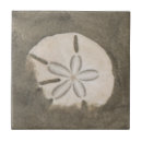 Search for sand dollar tiles Beach
