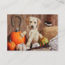 Search for thanksgiving business cards Pumpkins