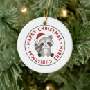 Search for cute racoon christmas tree decorations Xmas