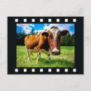 Search for strip postcards Retro