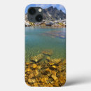 Search for clean ipad cases Ansel adams wilderness
