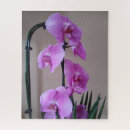 Search for orchid puzzles Plant