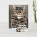 Search for cat wedding invitations Congratulations