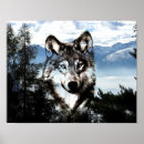 Search for wolf face posters Wild