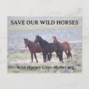 Search for mustang invitations Wild horses