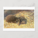 Search for mum horizontal postcards Cute