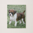 Search for boxer dog puzzles Puppy