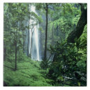 Search for nobody tiles Rainforest