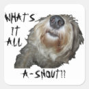Search for snout stickers Animal