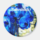 Search for orchids magnets Flowers