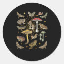Search for aesthetic stickers Cottagecore