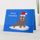 Search for walrus christmas cards Cute