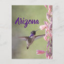 Search for birder postcards Nature