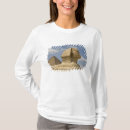 Search for egyptian clothing Giza
