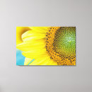 Search for sunflower painting canvas prints Sunny