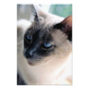 Search for eye mask posters Portrait