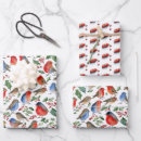 Search for red cardinal christmas wrapping paper Red and white