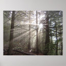 Search for beams art Light