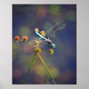 Search for resting posters Blue