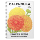 Search for flower seed packets Vintage