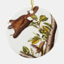 Search for mammals christmas tree decorations Wildlife