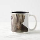 Search for labrador retriever puppy mugs Animal