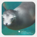 Search for smithsonian Mammal
