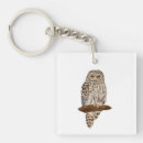 Search for barred owl key rings Nature