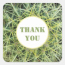 Search for desert cactus stickers Thank you