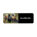 Search for barn return address labels Western